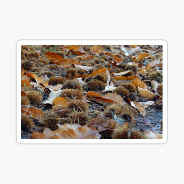 autumn memories Sticker