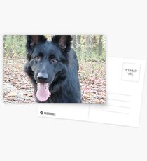 Laughing Lieben Postcards