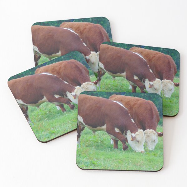 Item preview, Traditional Hereford Steer Grazing designed and sold by FastRapidash.