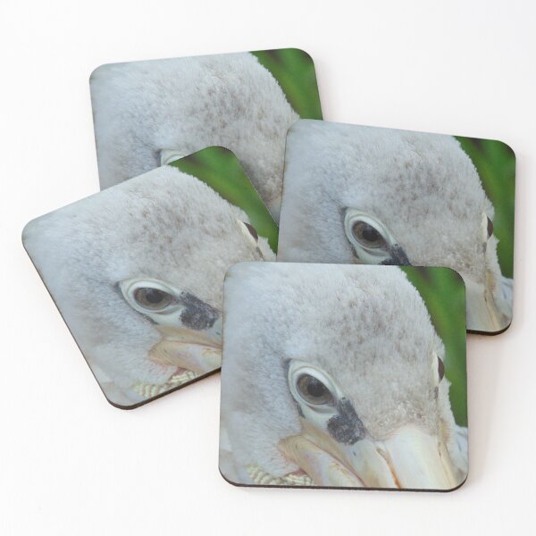 Item preview, Pelican Close Up designed and sold by FastRapidash.