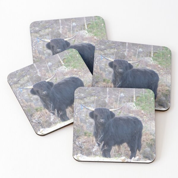 Item preview, Traditional Black Highland Cow in Scotland designed and sold by FastRapidash.