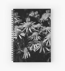 Beauties in the dark Spiral Notebook
