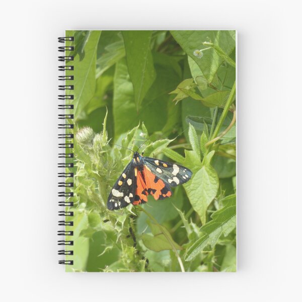 Item preview, Scarlet Tiger Moth  designed and sold by C Rose.
