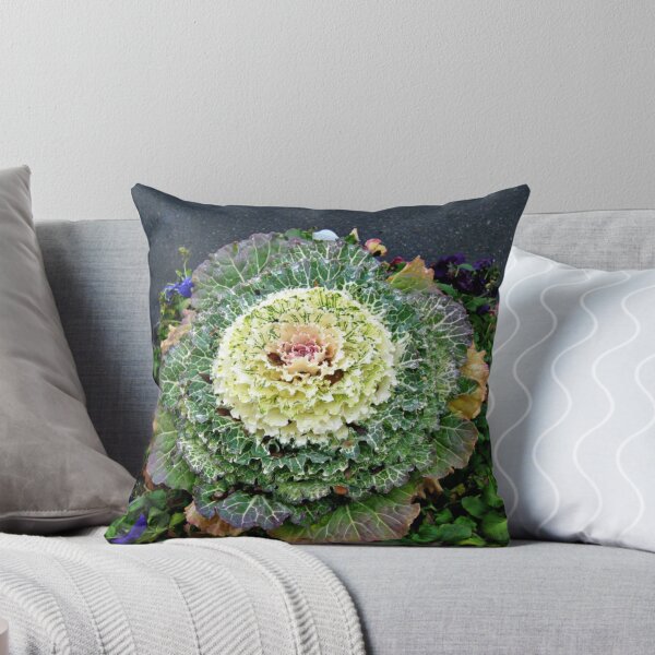 Item preview, Decorative Cabbage designed and sold by Jane Neill-Hancock.