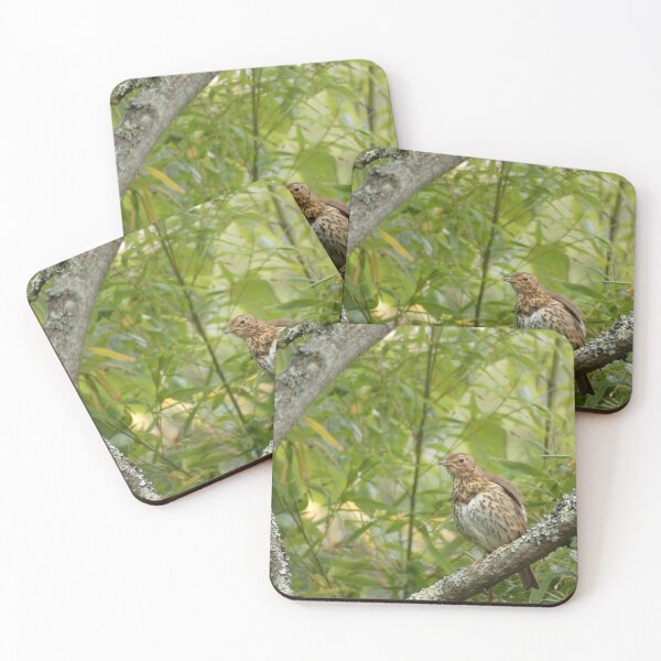 Item preview, Thrush in the trees designed and sold by C Rose.