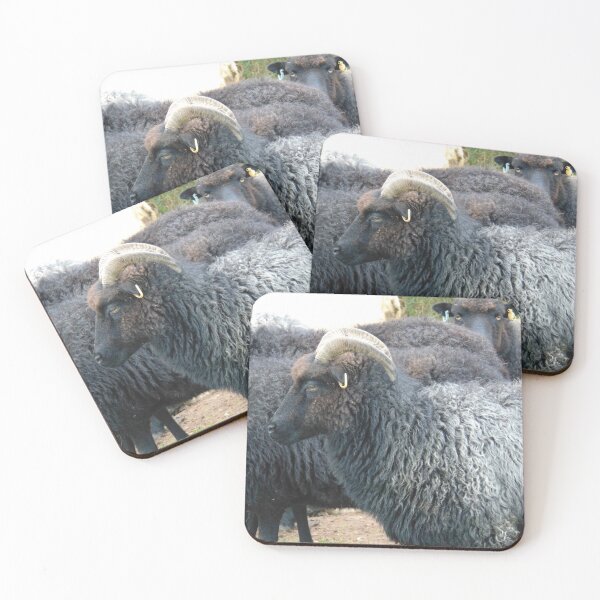 Item preview, Hebridean Ewe designed and sold by FastRapidash.