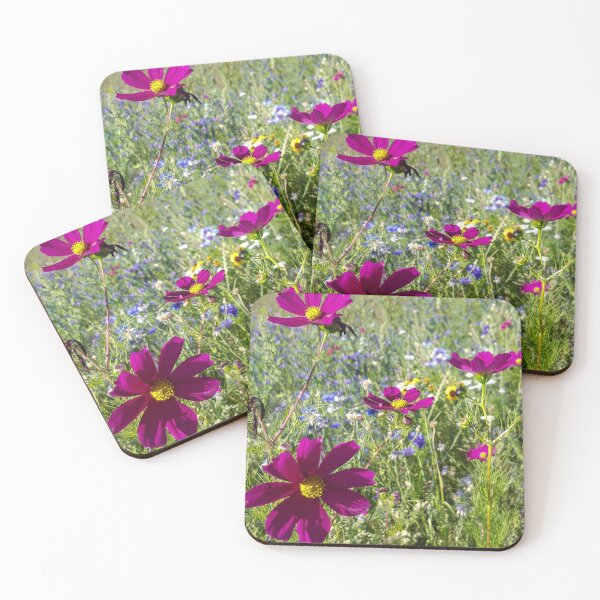 Item preview, Flowers Go Wild in Wimbledon 3 - Cosmos stands out designed and sold by ellenhenry.