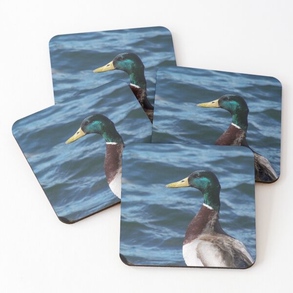 Item preview, Shiny Mallard (Anas platyrhynchos) designed and sold by FastRapidash.