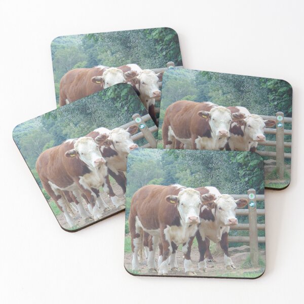 Item preview, Herefords on Nature Reserve designed and sold by FastRapidash.