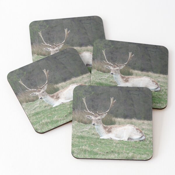 Item preview, Young Fallow Buck  designed and sold by FastRapidash.