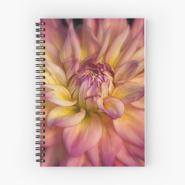 Item preview, Dahlia 'Bahama Mama' designed and sold by annabelleny.
