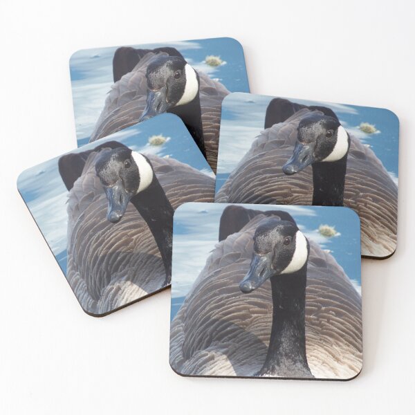 Item preview, Canada Goose (Branta canadensis) designed and sold by FastRapidash.