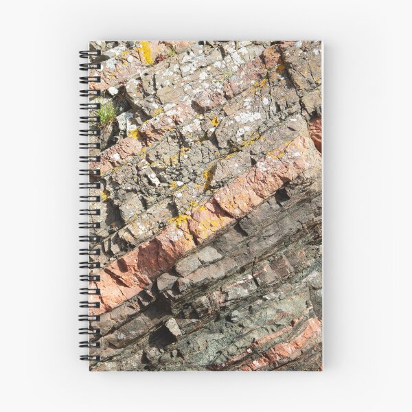 Item preview, A slice of geology designed and sold by Alternative Perspectives.