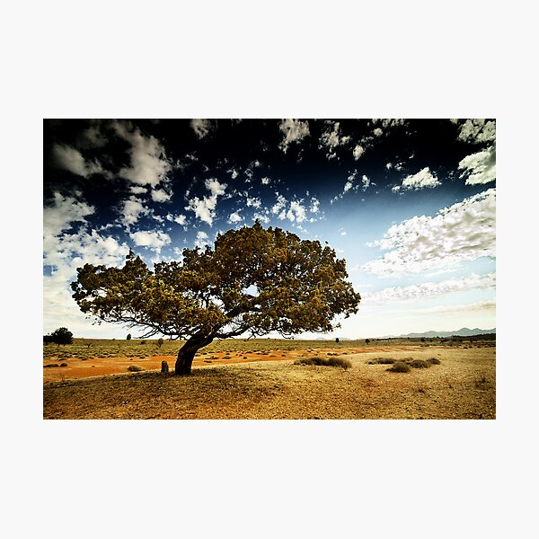 Item preview, South Australia landscape serie 05 designed and sold by ZoltanBalogh.