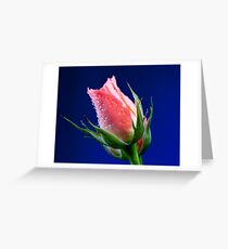 Pink Insight Greeting Card