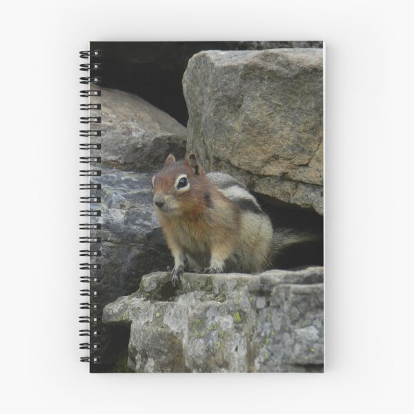 Item preview, Canadian Chipmunk designed and sold by ransleydale.