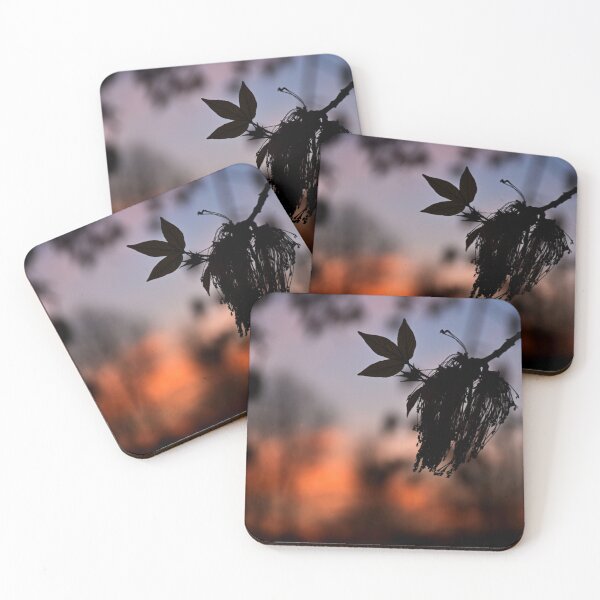 Item preview, Sunset in Timisoara designed and sold by Mii-pics.