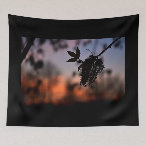 Item preview, Sunset in Timisoara designed and sold by Mii-pics.