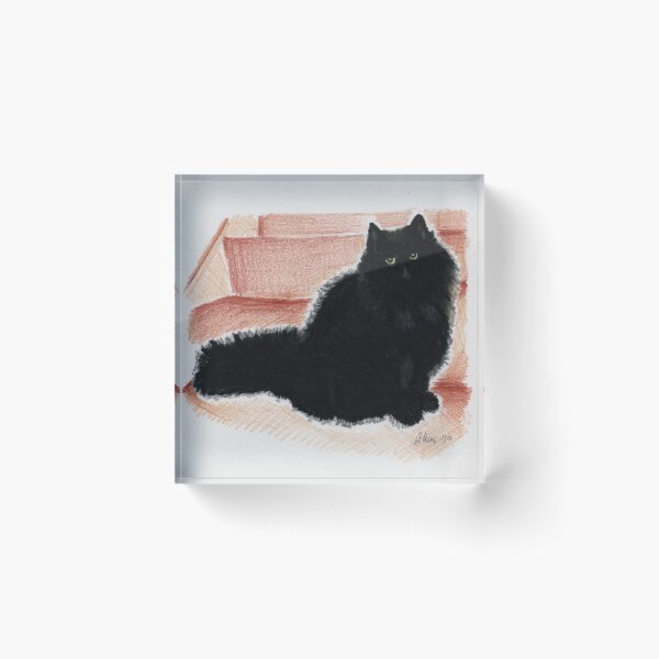 Item preview, fluffy furry black cat designed and sold by Any Art Netty .