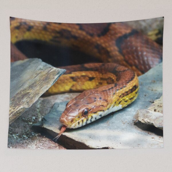 Item preview, Snake designed and sold by Tjaša Rome.