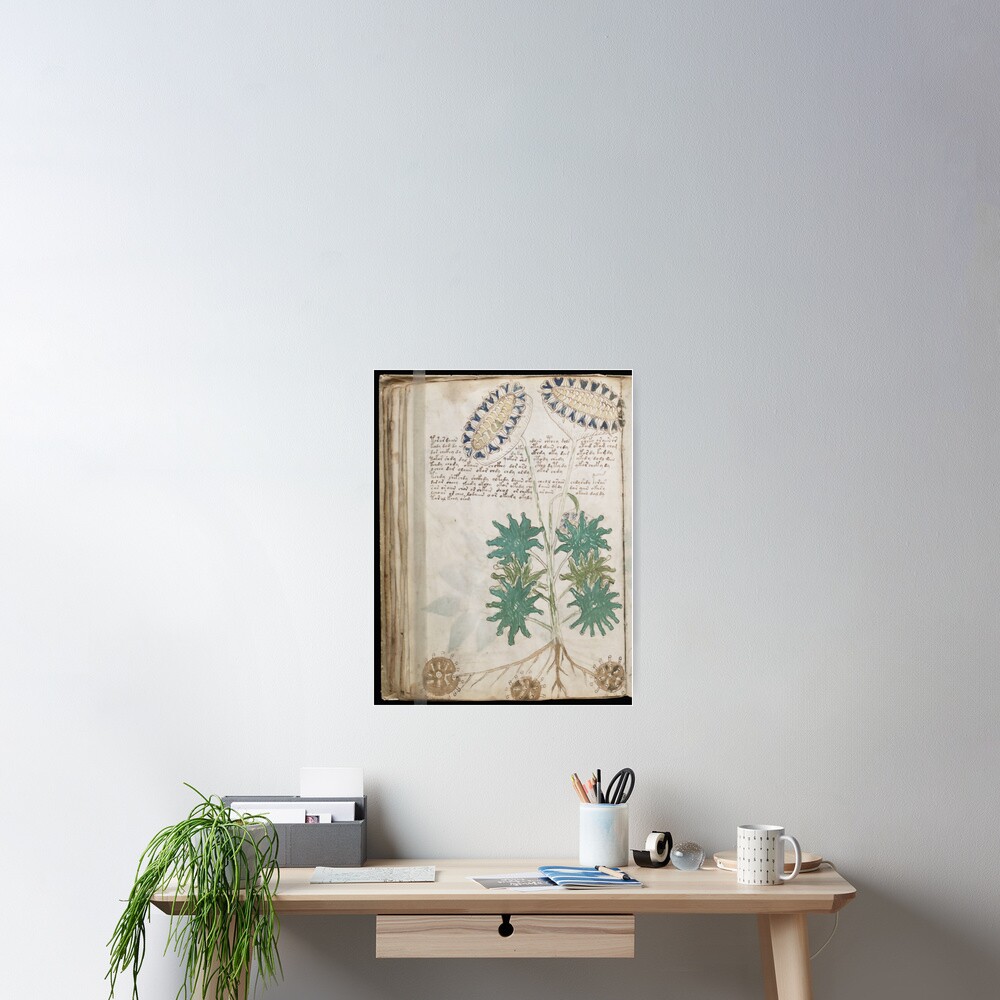 Voynich Manuscript. Illustrated codex hand-written in an unknown writing system Poster