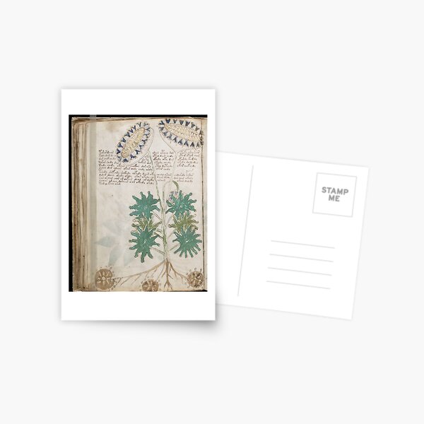 Voynich Manuscript. Illustrated codex hand-written in an unknown writing system Postcard