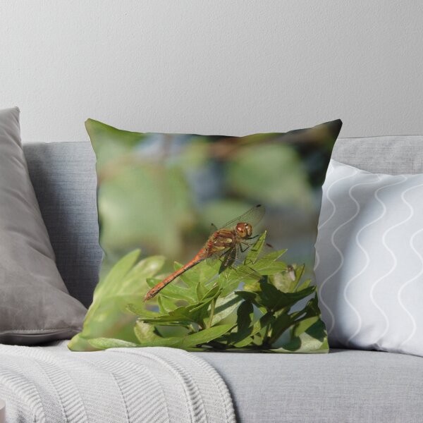 Item preview, Dragonfly Common Darter (Sympetrum striolatum) designed and sold by FastRapidash.
