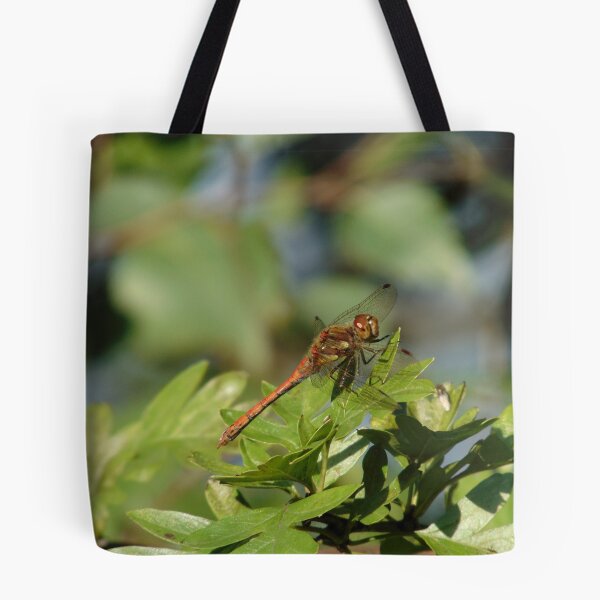 Item preview, Dragonfly Common Darter (Sympetrum striolatum) designed and sold by FastRapidash.