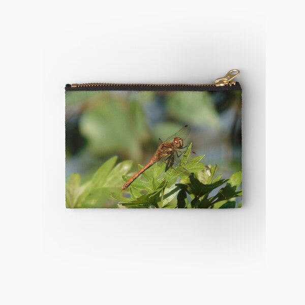 Item preview, Dragonfly Common Darter (Sympetrum striolatum) designed and sold by FastRapidash.