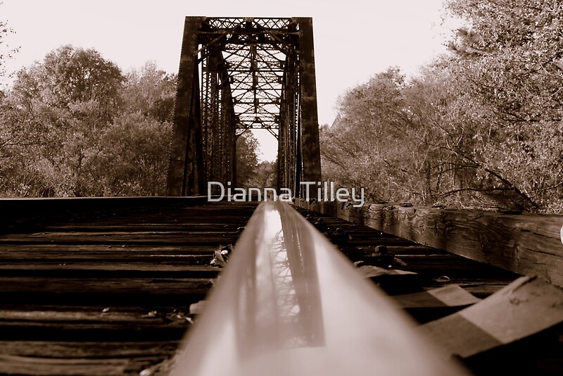 "Railroad Trestle ,Cumnock NC" by Dianna Tilley Redbubble