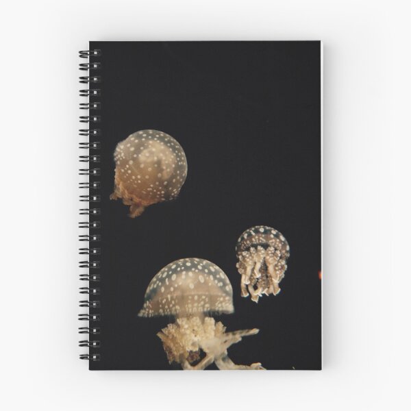Item preview, Japanese Jellies designed and sold by Regan Jackson.