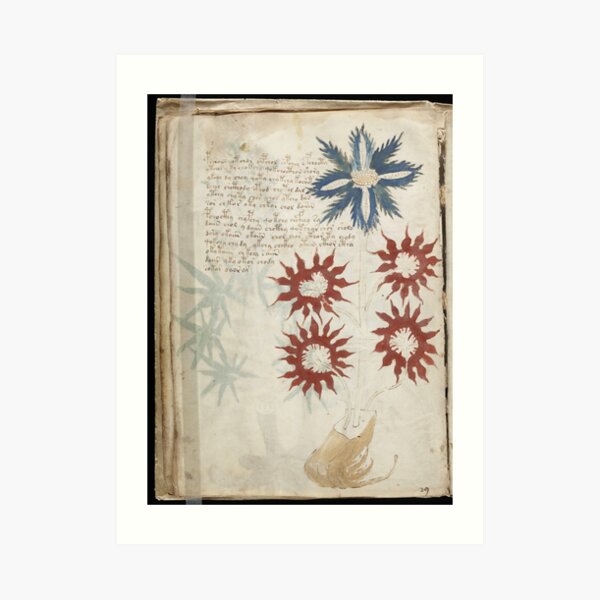 Voynich Manuscript. Illustrated codex hand-written in an unknown writing system Art Print