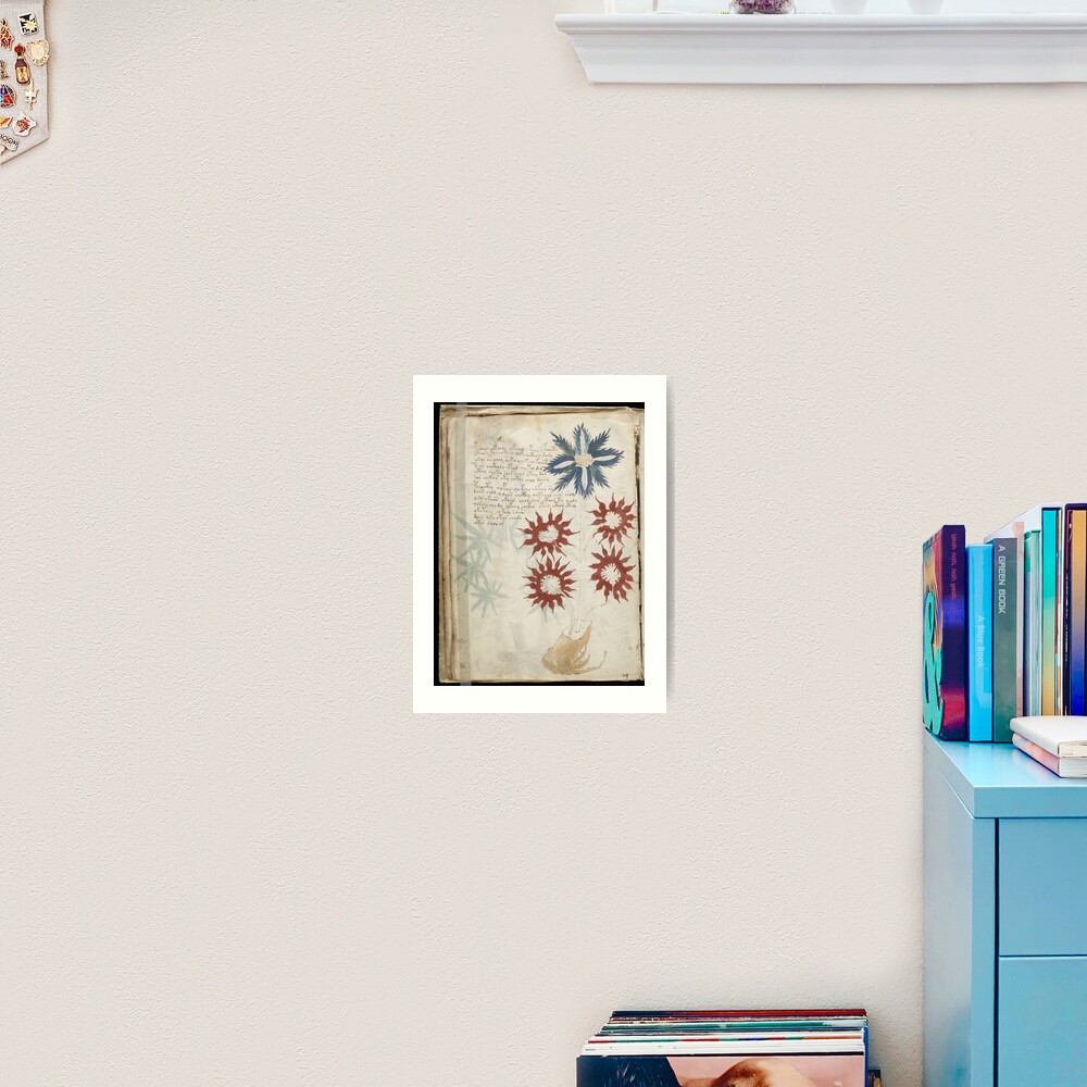 Voynich Manuscript. Illustrated codex hand-written in an unknown writing system Art Print