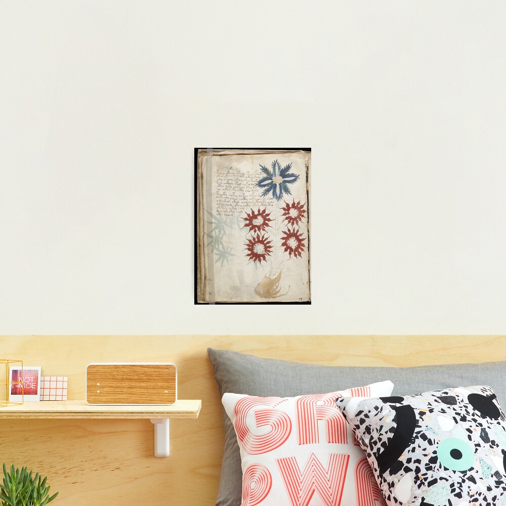 Voynich Manuscript. Illustrated codex hand-written in an unknown writing system Photographic Print