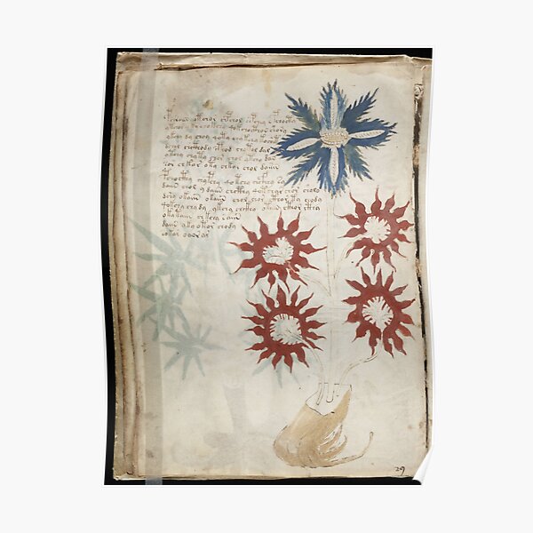 Voynich Manuscript. Illustrated codex hand-written in an unknown writing system Poster
