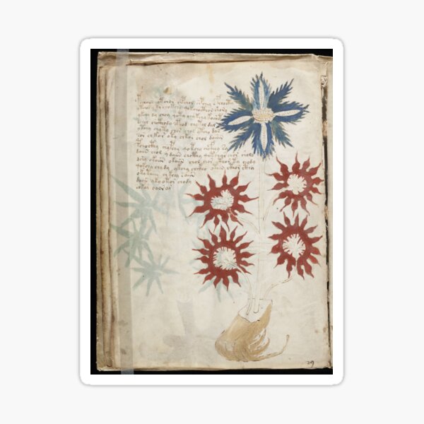 Voynich Manuscript. Illustrated codex hand-written in an unknown writing system #Voynich #Manuscript #Illustrated #codex Sticker