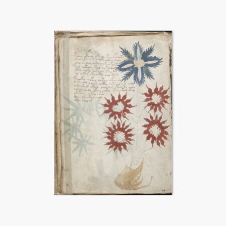 Voynich Manuscript. Illustrated codex hand-written in an unknown writing system Art Board Print