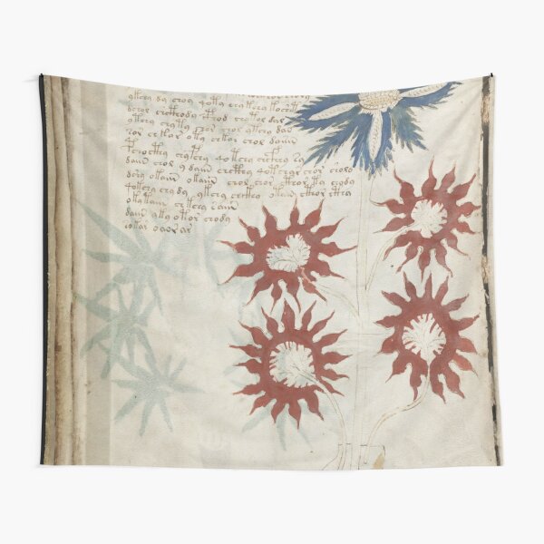 Voynich Manuscript. Illustrated codex hand-written in an unknown writing system Tapestry