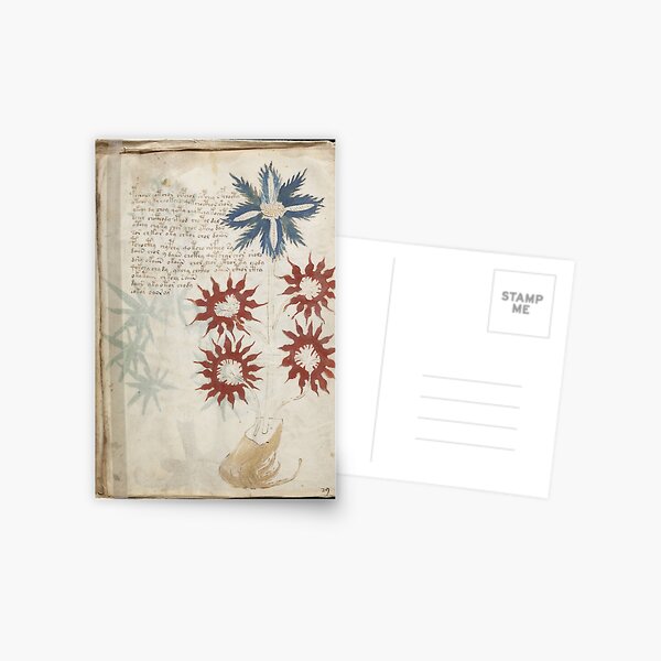 Voynich Manuscript. Illustrated codex hand-written in an unknown writing system Postcard
