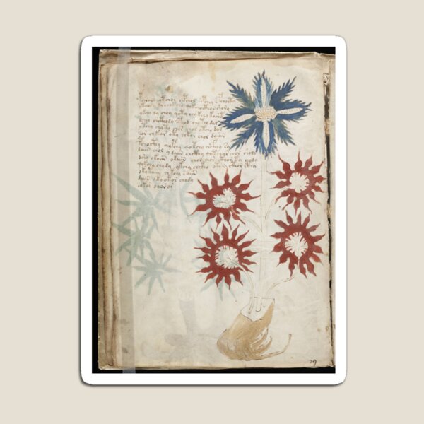 Voynich Manuscript. Illustrated codex hand-written in an unknown writing system Magnet