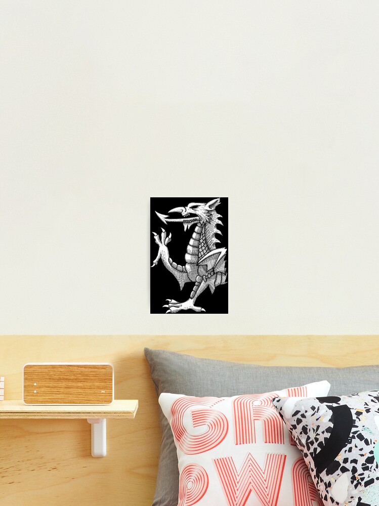 Dragon's lines outlet photo print