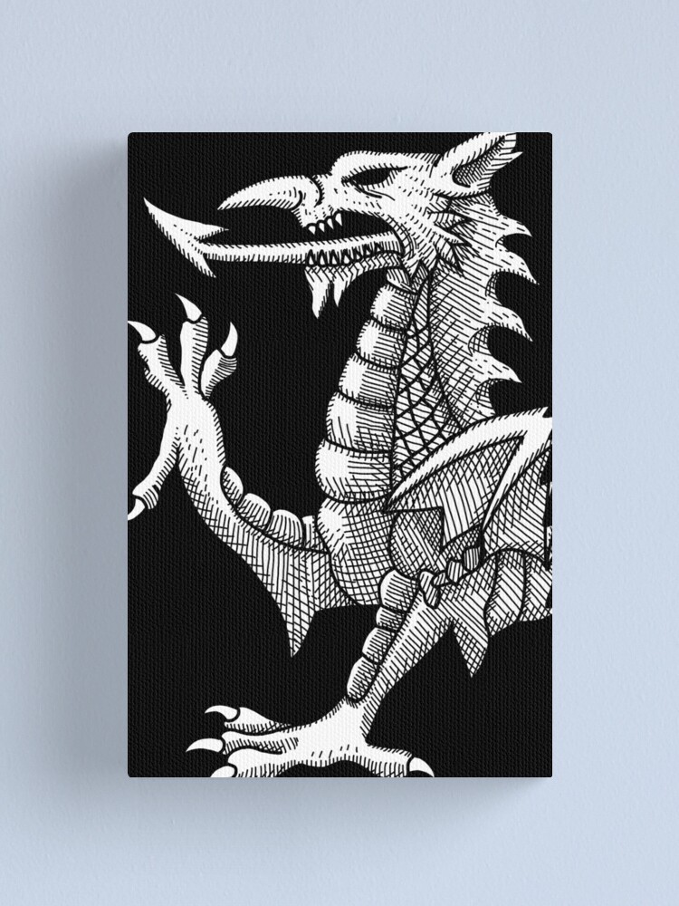 Dragon's lines 2024 photo print