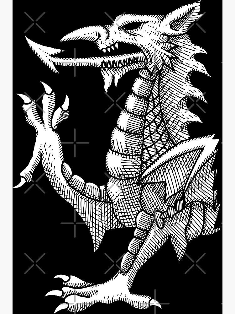 Dragon's lines photo 2024 print