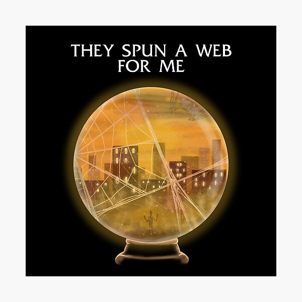 They spun a web for me Photographic Print