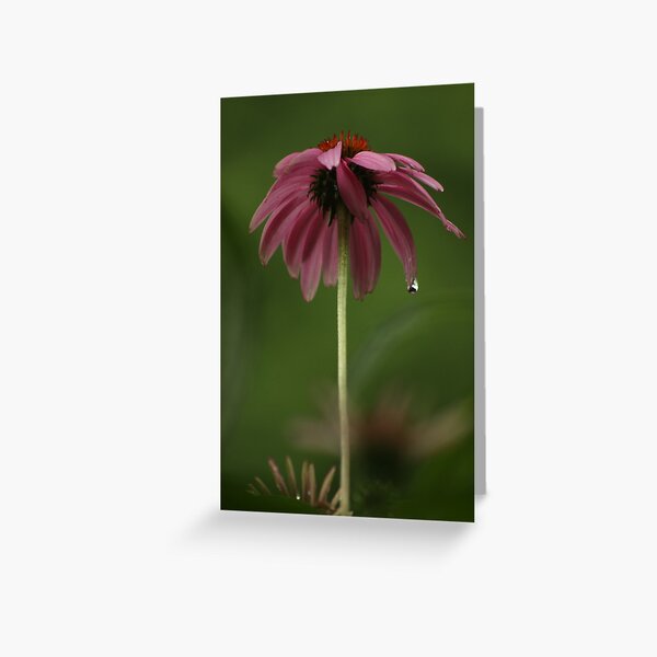 Feeling Lonely on a Rainy Day Greeting Card