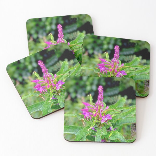 Item preview, Wildflowers Don't Care Where Grow designed and sold by Lanis Rossi.
