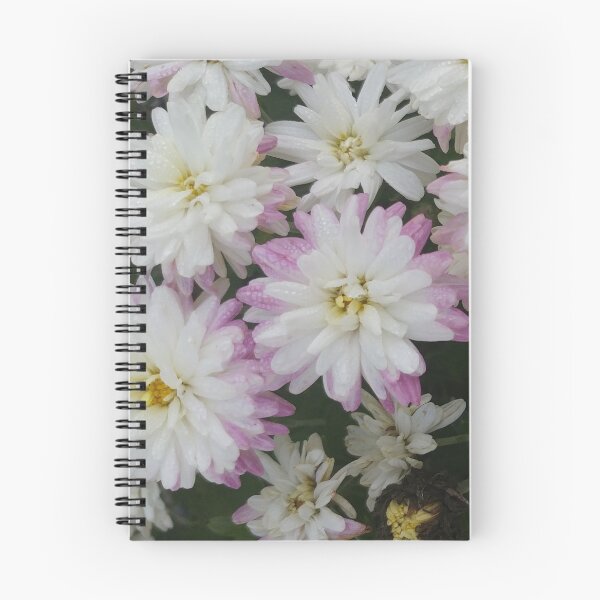 Item preview, White and Purple Mums - Flowers designed and sold by A2Gretchen.