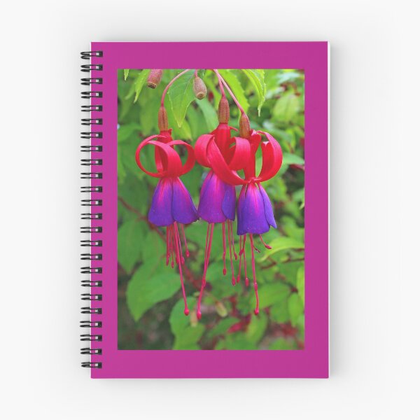 Item preview, Fuchsia Plants designed and sold by ellenmpics.