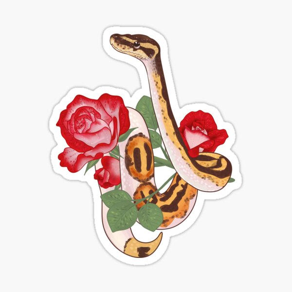 ball python tattoosTikTok Search