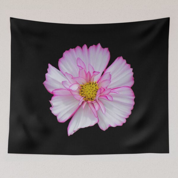 Item preview, Flower in pink & white, flowers, blossom, garden, nature designed and sold by rhnaturestyles.